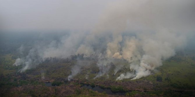Nasib Tragis Para Hewan Akibat Kebakaran Hutan Ulah Manusia