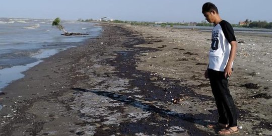 Pertamina Diminta Jujur Terkait Kebocoran hingga Tumpahkan Minyak di Karawang