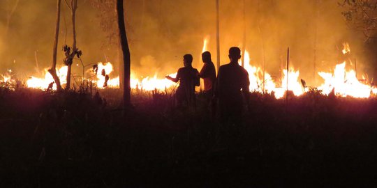 Walhi Desak Izin Korporasi Pelaku Kebakaran Hutan dan Lahan Dicabut