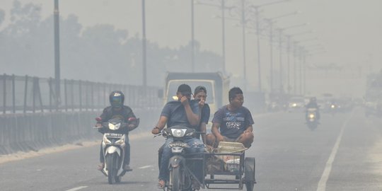 Wiranto Sebut Karhutla Riau Tak Separah Diberitakan Media, Ini Faktanya