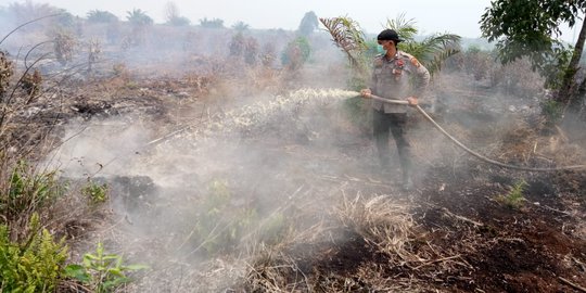 Pria Diduga Pembakar Lahan Ditangkap Polres Indragiri Hilir Riau