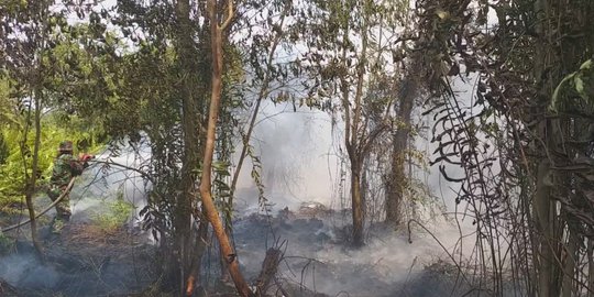 1 Orang Ditetapkan Tersangka Kasus Pembakaran Hutan Lindung di Flores Timur