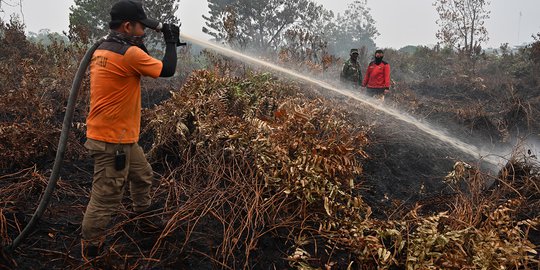 Ini Strategi Jokowi Padamkan Kebakaran Hutan, Ampuhkah?