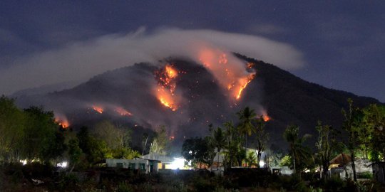 Kebakaran Hanguskan Puncak Gunung Ile Mandiri Flores Timur