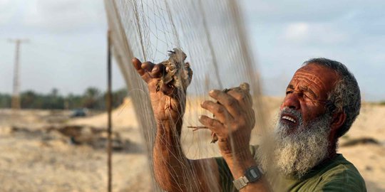 Cara Warga Palestina Berburu Burung dengan Jaring