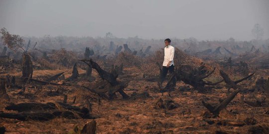 OJK Didesak Buka Data Bank Beri Modal ke Perusahaan Terindikasi Kebakaran Hutan