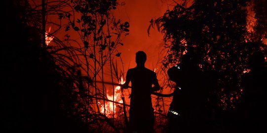 Kebakaran Hutan di Kawasan Suaka Margasatwa Ancam Habitat Gajah