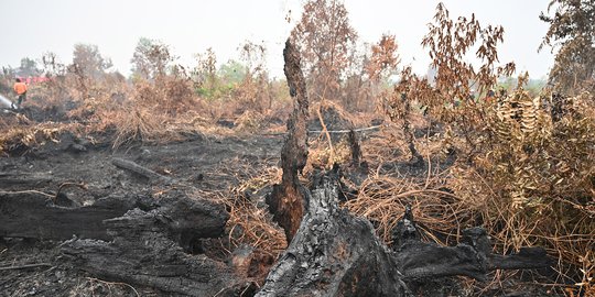 Tersangka Kebakaran Lahan di Riau Bertambah Jadi 53 Orang, Satu Korporasi