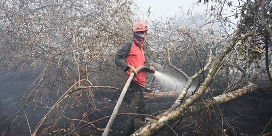 Kapolda Kalteng Sebut Pembakar Hutan dan Lahan Zalim ke Masyarakat Terdampak