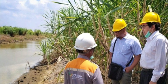 Sistem Pembelian Tebu Bikin Maju Petani dan Pabrik Gula