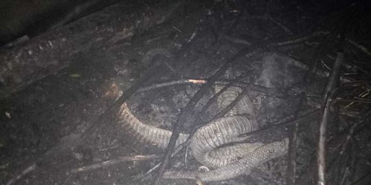 keadaan hangus terbakar rev2