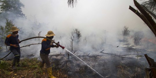 54 Titik Kebakaran Tersebar di Riau, Kualitas Udara Pekanbaru Sangat Tidak Sehat