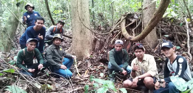 raflesia di hutan kaltim