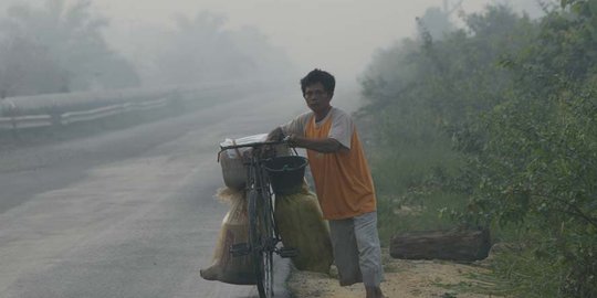 Walhi Desak Pemerintah Ungkap Korporasi Pelaku Pembakaran Hutan dan Lahan