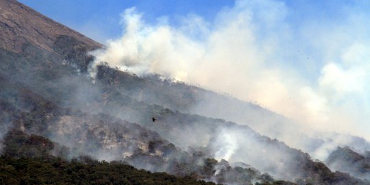Kebakaran Gunung Slamet Meluas Sampai Kawasan Baturaden