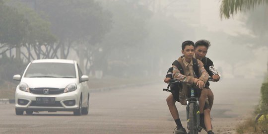 Imbas Kebakaran Hutan, Tingkat Okupansi Hotel di Riau Turun 25 Persen