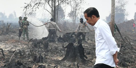 Penundaan Pengesahan KUHP Dinilai Hanya Taktik Jokowi