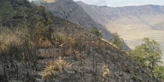 Gunung Semeru Ditutup Total Akibat Kebakaran di Dekat Ranu Kumbolo