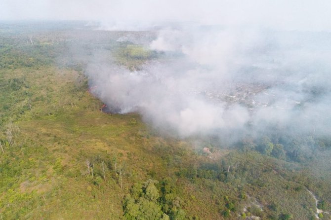 kebakaran hutan merusak kawasan kersik luway di kaltim