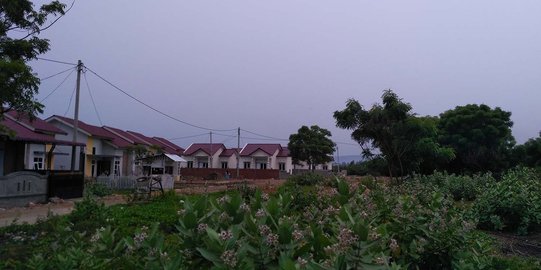 Kabut Asap Mulai Selimuti Sebagian Aceh, Jarak Pandang Hanya 3 Meter