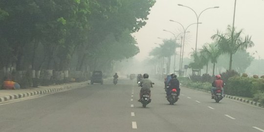 Jarak Pandang Hanya 500 Meter, 6 Penerbangan Batal Terbang ke Pekanbaru