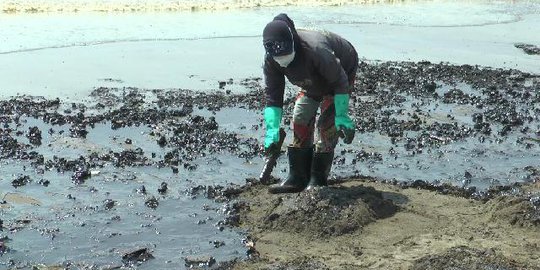 Pertamina Klaim Kebocoran Sumur Minyak di Karawang Sudah Disumbat