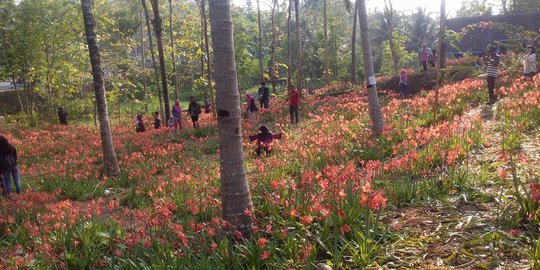 Tempat-Tempat Wisata Ini Mendadak Dibanjiri Pengunjung karena Viral di Medsos | merdeka.com - merdeka.com