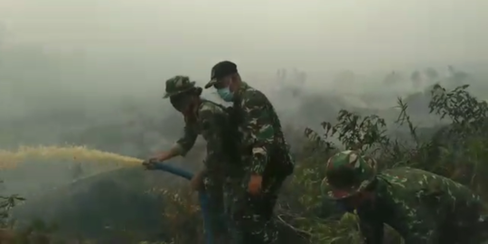 Kebakaran Hutan Meluas, 30 Hektare Lahan Gambut di Asahan Terbakar