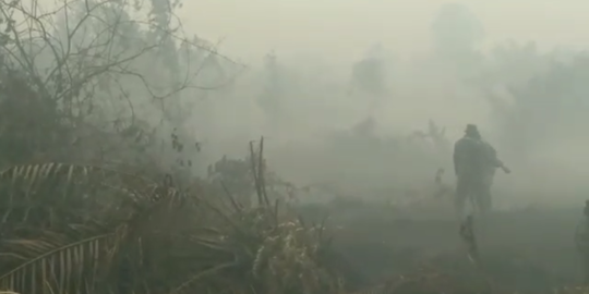 800 Hektare Lahan di Kotawaringin Timur Terbakar