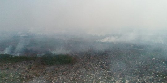 Padamkan Kebakaran Hutan di 8 Kabupaten, BPBD Jambi Gelontorkan Rp1,3 Miliar