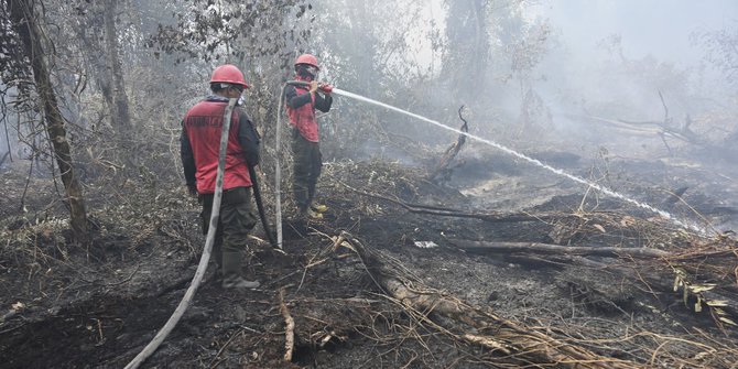 BMKG sebut Udara Riau Membaik setelah Diguyur Hujan