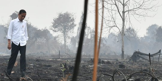 Komisi III Sebut Jokowi Minta Pasal Penghinaan Presiden Dihapus