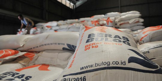 Masuk Masa Panen, Bulog Bisa Serap 3.000 Ton Beras per Hari