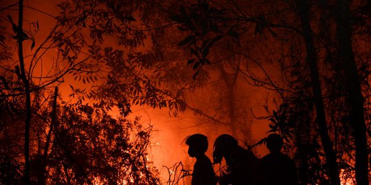 Data Titik Api 24 September: Riau Turun Paling Banyak, di Kalteng Masih Tinggi