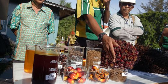 Uji Coba Penerapan B30 Berjalan Mulus, Produsen Diklaim Tak Keberatan