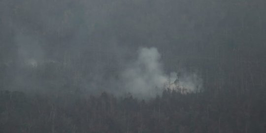 Meski Diguyur Hujan, Titik Panas di Riau Masih Terbanyak di Pulau Sumatera