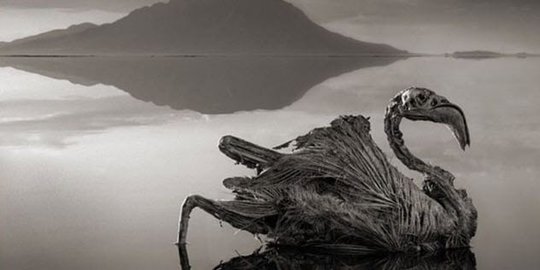 7 fenomena alam yang hasilkan pemandangan tak nyata