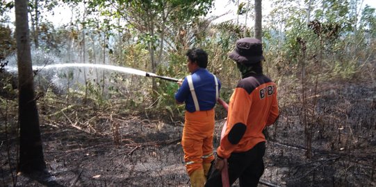 30 Jadi Tersangka Karhutla di Kalimantan Timur, Belum Ada Korporasi Diperiksa