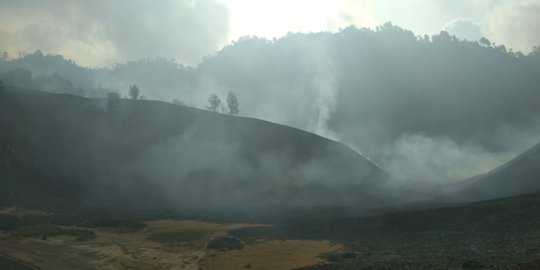 60,4 Hektare Hutan Gunung Semeru Terdampak Kebakaran