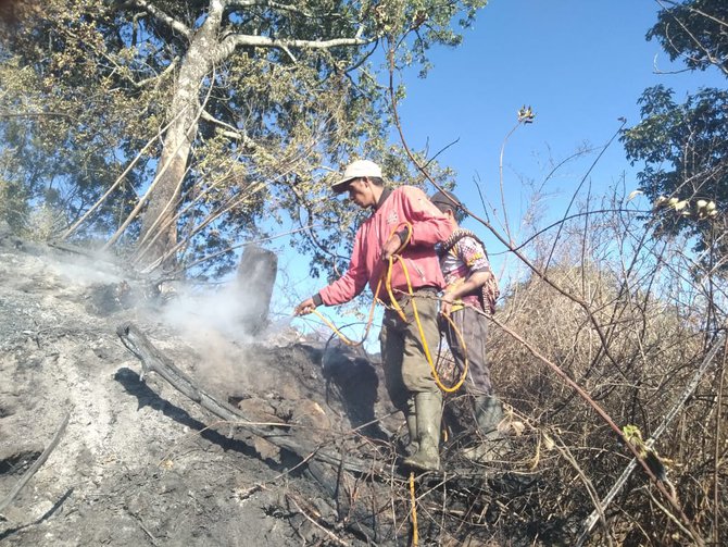 kebakaran hutan di gunung semeru