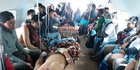Puluhan Dokter Ketakutan dan Minta Dievakuasi dari Wamena