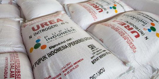 Petrokimia Gresik Ingatkan Petani Gunakan Pupuk Berimbang Tingkatkan Hasil Panen