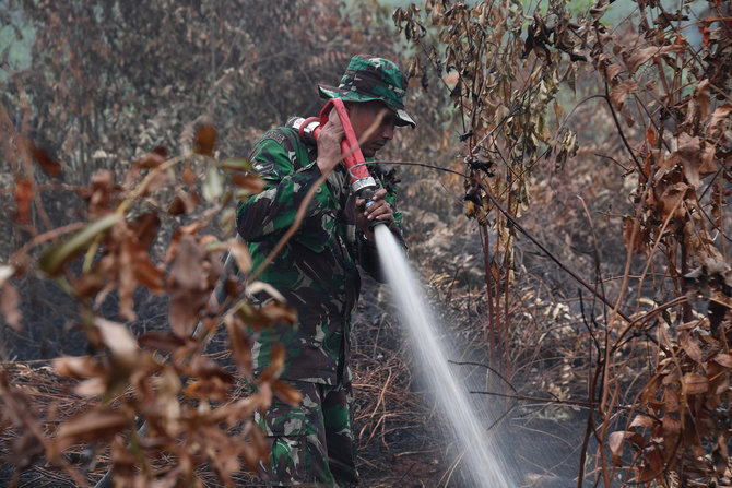 prajurit tni dan bpbd padamkan kebakaran hutan di kampar