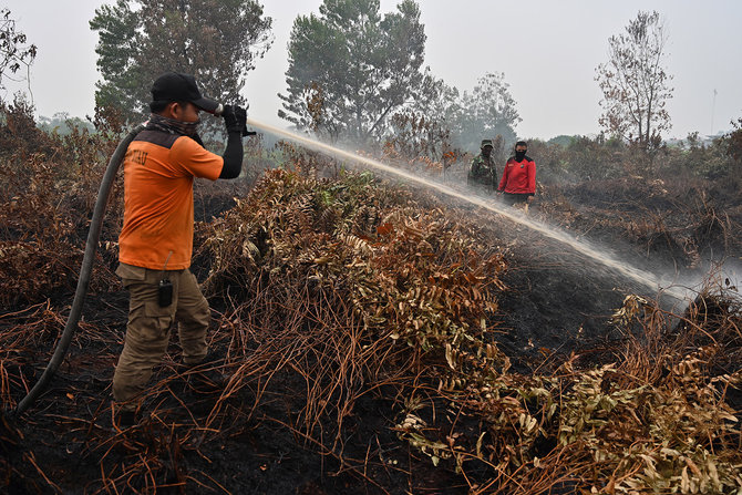 prajurit tni dan bpbd padamkan kebakaran hutan di kampar