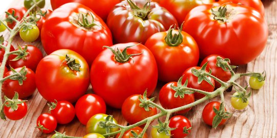 Harga Tomat di Pasar Anjlok jadi Rp8.000 per Kg