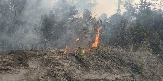 100 Petugas Pemadam Kebakaran Hutan dan Lahan di Kutai Barat Terserang ISPA