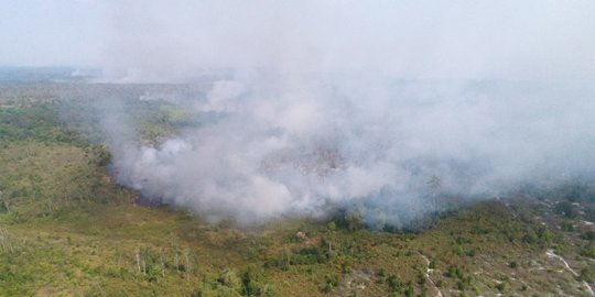 Berjibaku Padamkan Kebakaran Hutan, Anggota BPBD Inhil Terkena ISPA