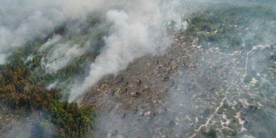 Hujan Turun di Wilayah Terdampak Karhutla Membuat Kualitas Udara Membaik