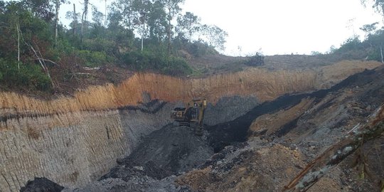 KLHK Tangkap Penambang Batubara Ilegal di Kawasan Ibu Kota Baru