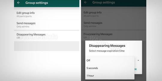 whatsapp uji coba fitur penghapusan pesan otomatis, ini cara kerjanya!
